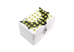 Bat-Safe Mini LiPo Charging Case